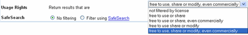 Google Advanced Search screen